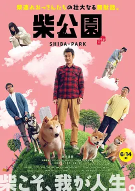 女总裁爱上穷小伙