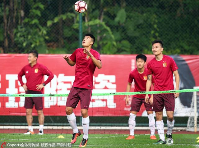 绿野仙踪林视频入口欢迎您