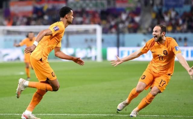 干女人视频