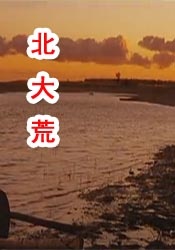 国产男女打野战在线观看