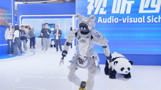 国产成在线观看免费视频成本人